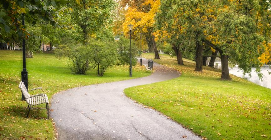 Path through trees in a park